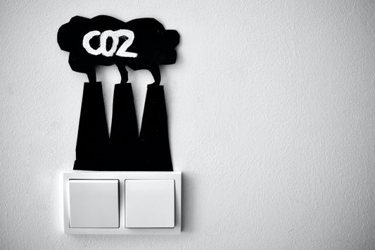 Was versteht man unter dem CO2 Fußabdruck?