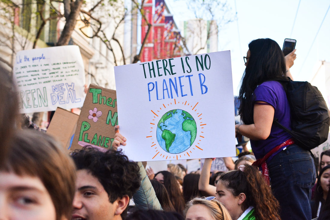 Wie können wir den Klimawandel durch politische Maßnahmen bekämpfen?