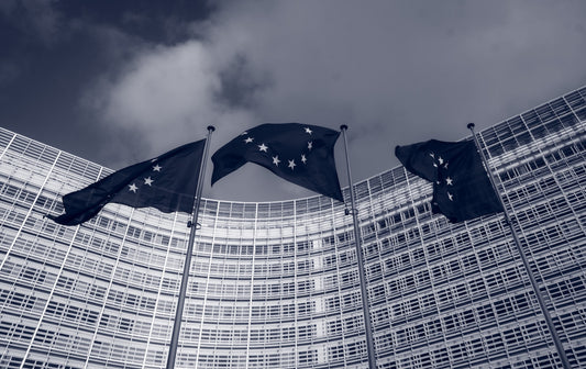 Was sind die Klimaschutz-Ziele der EU?
